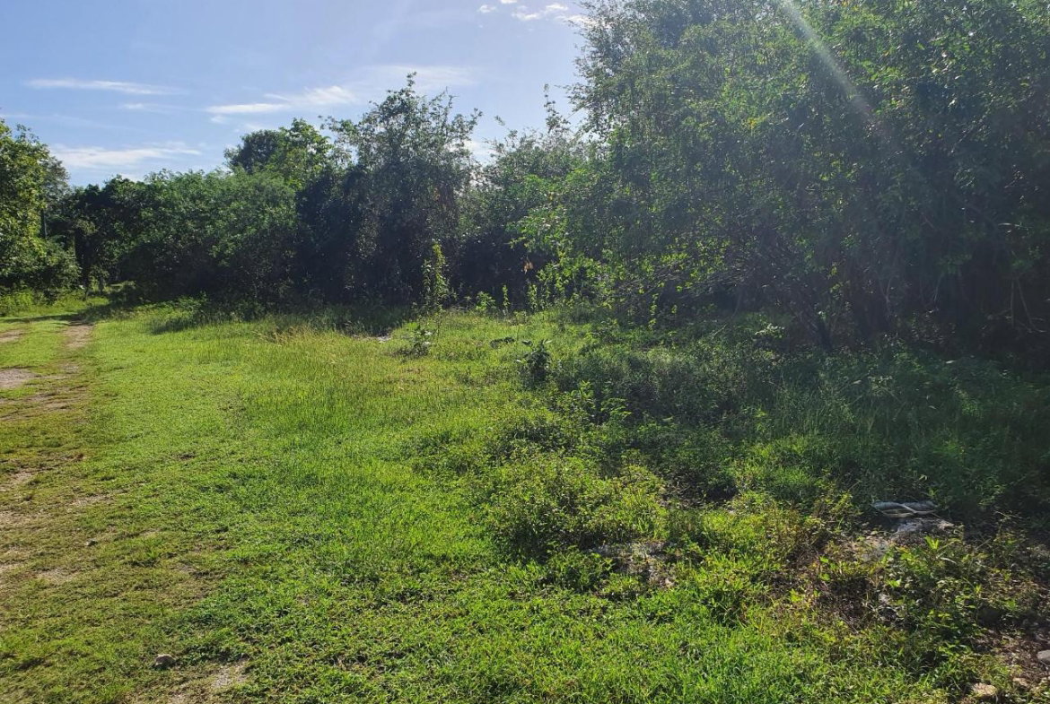 Eighth image of Tora Drive West End Negril P.o. in Negril, Westmoreland, Jamaica - property is For Sale