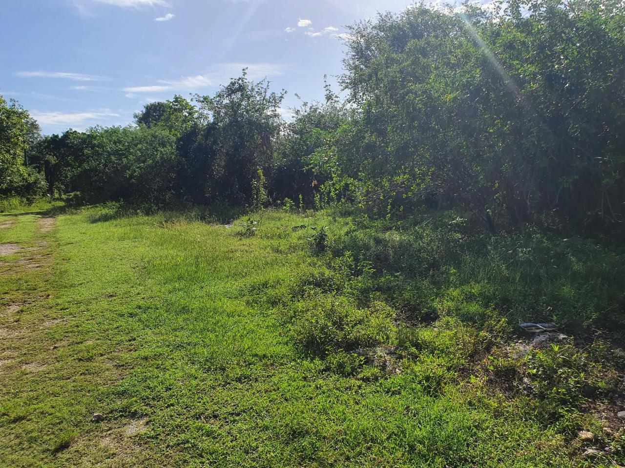 Eighth image of Tora Drive West End Negril P.o. in Negril, Westmoreland, Jamaica - property is For Sale