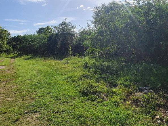 Eighth image of Tora Drive West End Negril P.o. in Negril, Westmoreland, Jamaica - property is For Sale