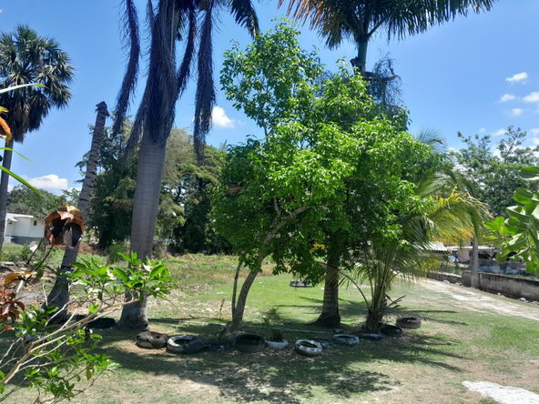 Second image of 4 Farm Pen, Llandilo; Savan in Farm Pen, Westmoreland, Jamaica - property is For Sale
