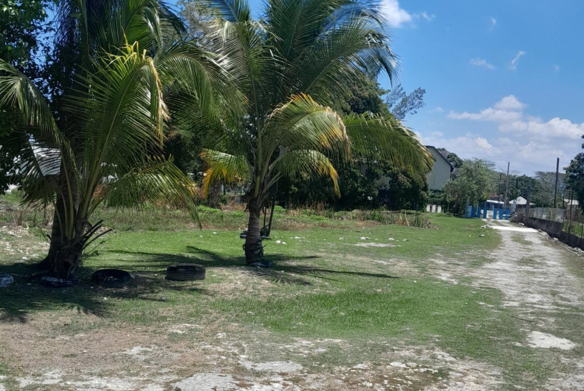 First image of 4 Farm Pen, Llandilo; Savan in Farm Pen, Westmoreland, Jamaica - property is For Sale