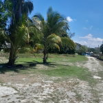 First image of 4 Farm Pen, Llandilo; Savan in Farm Pen, Westmoreland, Jamaica - property is For Sale