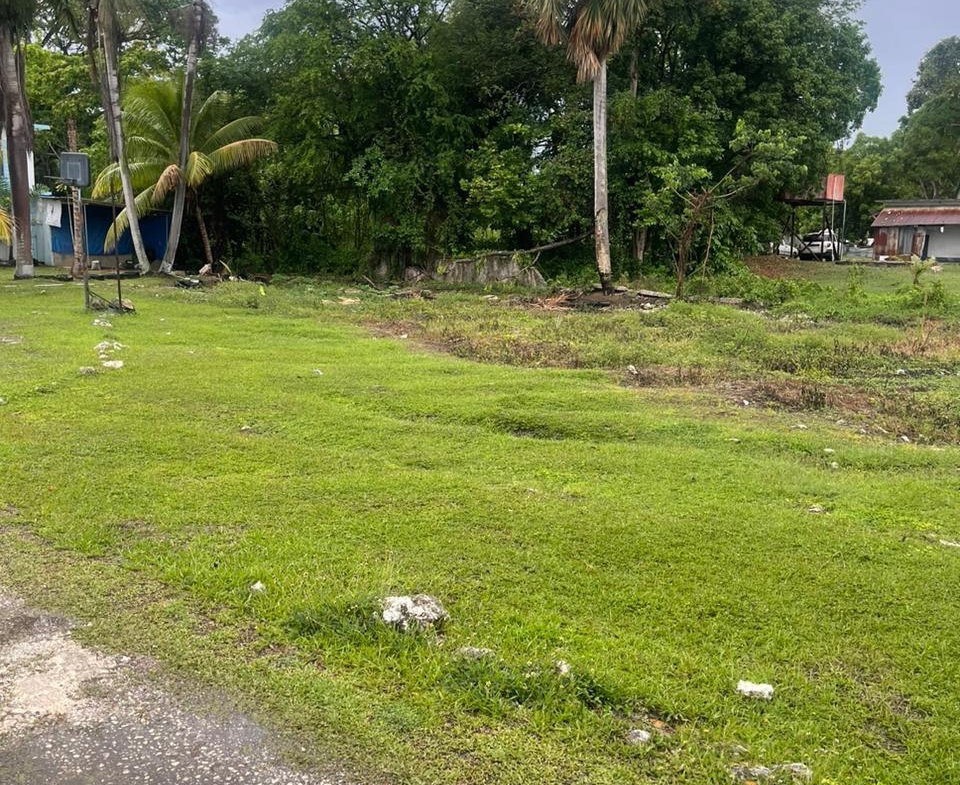 Sixth image of 4 Farm Pen, Llandilo; Savan in Farm Pen, Westmoreland, Jamaica - property is For Sale