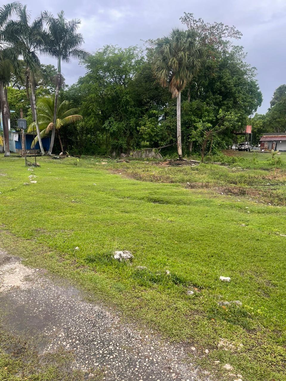 Sixth image of 4 Farm Pen, Llandilo; Savan in Farm Pen, Westmoreland, Jamaica - property is For Sale