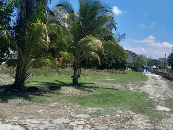 First image of 4 Farm Pen, Llandilo; Savan in Farm Pen, Westmoreland, Jamaica - property is For Sale