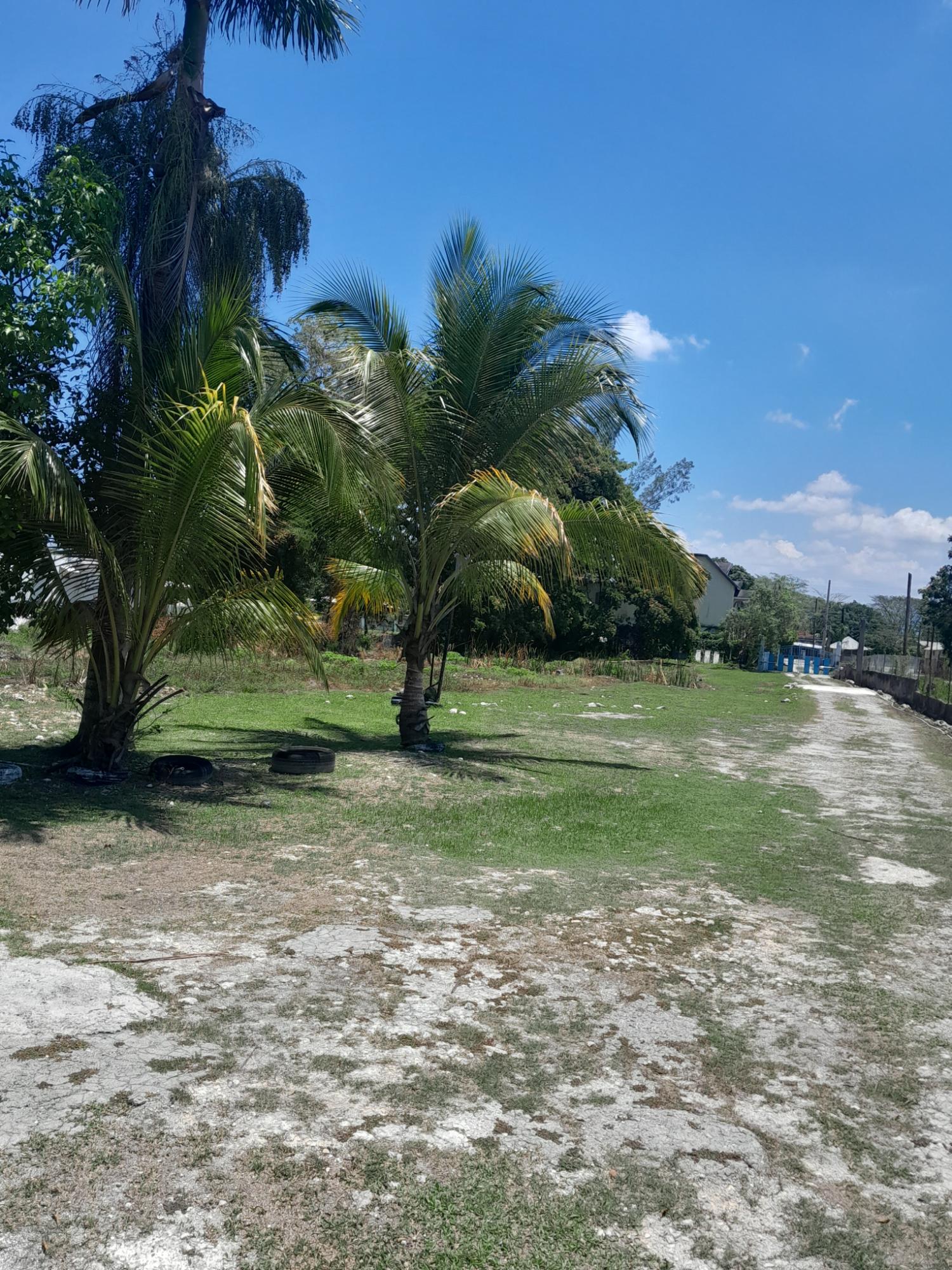 First image of 4 Farm Pen, Llandilo; Savan in Farm Pen, Westmoreland, Jamaica - property is For Sale