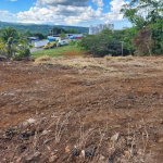 First image of Williamsfield in Mandeville, Manchester, Jamaica - property is For Sale