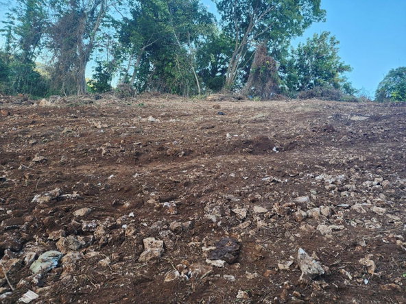 Fourth image of Williamsfield in Mandeville, Manchester, Jamaica - property is For Sale