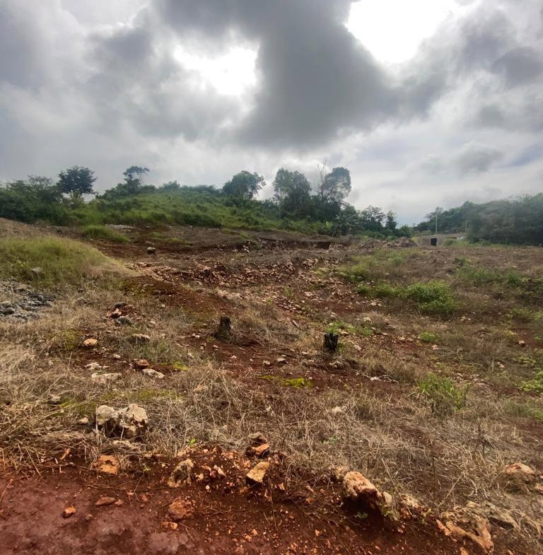 Second image of Lot 74 Part of Wilson Pen in Cross Keys, Manchester, Jamaica - property is For Sale