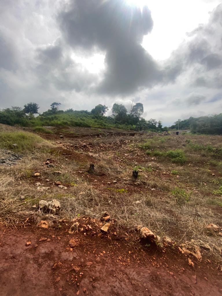 Prime-Residential-Lot-for-Sale-in-Wilson-Pen-Manchester Second image of Lot 74 Part of Wilson Pen in Cross Keys, Manchester, Jamaica - property is For Sale