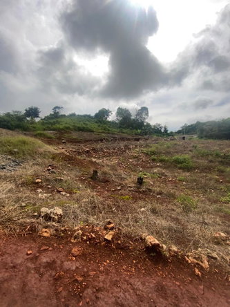Second image of Lot 74 Part of Wilson Pen in Cross Keys, Manchester, Jamaica - property is For Sale