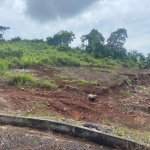 First image of Lot 74 Part of Wilson Pen in Cross Keys, Manchester, Jamaica - property is For Sale