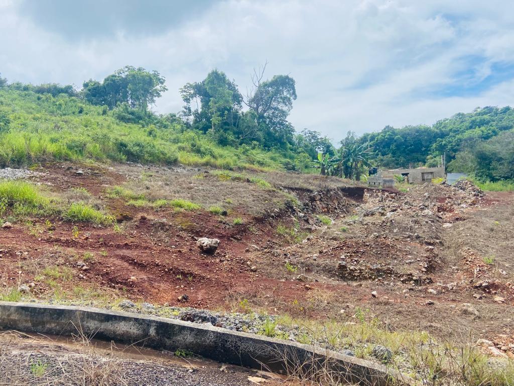 Third image of Lot 74 Part of Wilson Pen in Cross Keys, Manchester, Jamaica - property is For Sale