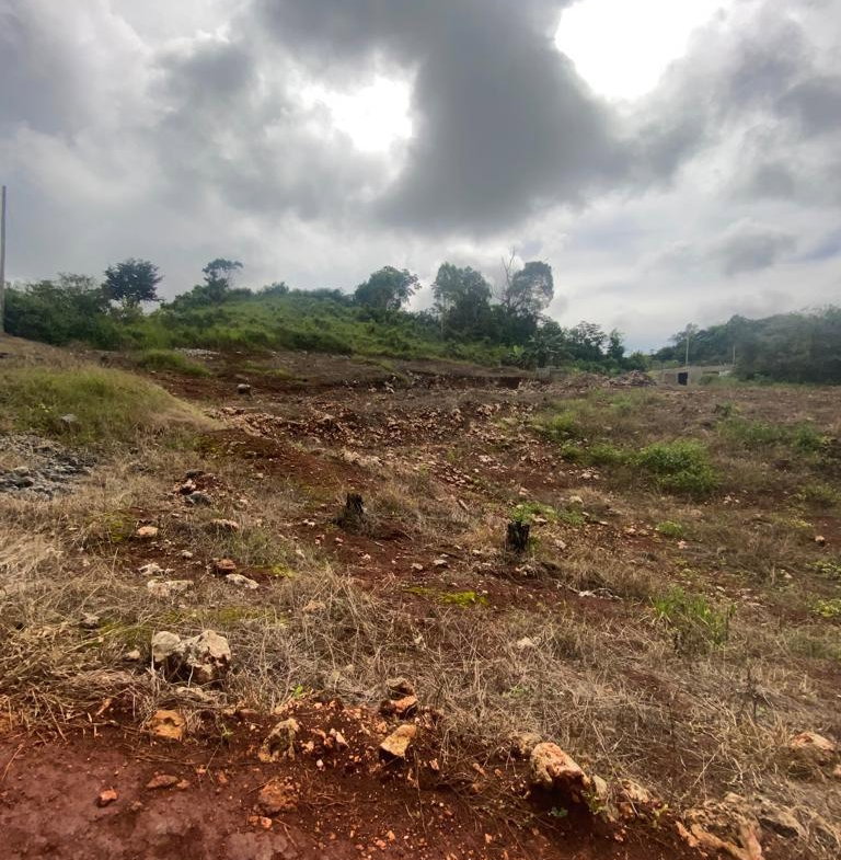 Fourth image of Lot 74 Part of Wilson Pen in Cross Keys, Manchester, Jamaica - property is For Sale