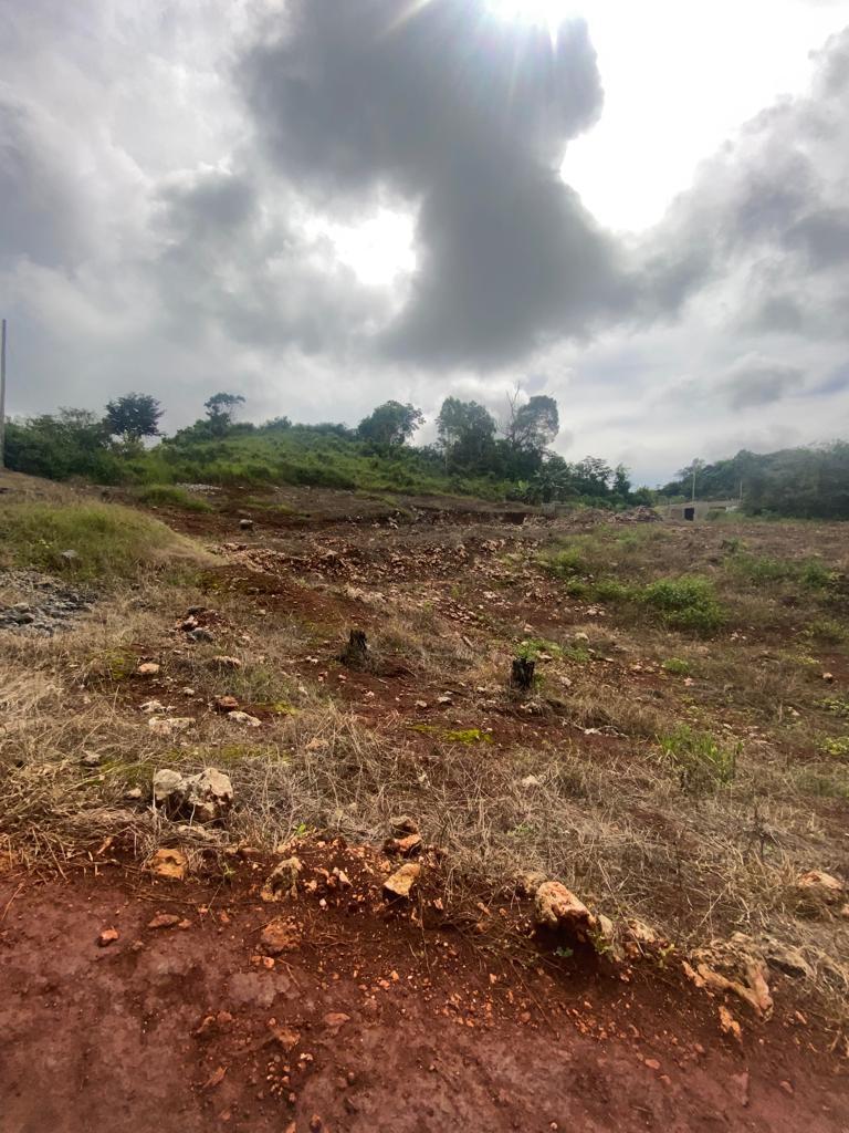 Prime-Residential-Lot-for-Sale-in-Wilson-Pen-Manchester Fourth image of Lot 74 Part of Wilson Pen in Cross Keys, Manchester, Jamaica - property is For Sale