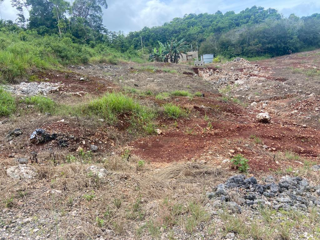 Sixth image of Lot 74 Part of Wilson Pen in Cross Keys, Manchester, Jamaica - property is For Sale