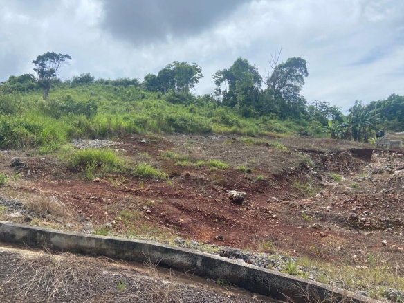 First image of Lot 74 Part of Wilson Pen in Cross Keys, Manchester, Jamaica - property is For Sale