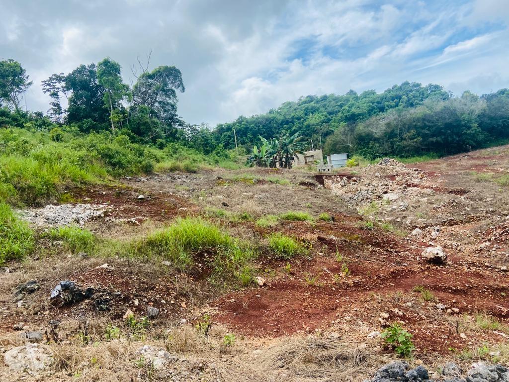 Seventh image of Lot 74 Part of Wilson Pen in Cross Keys, Manchester, Jamaica - property is For Sale