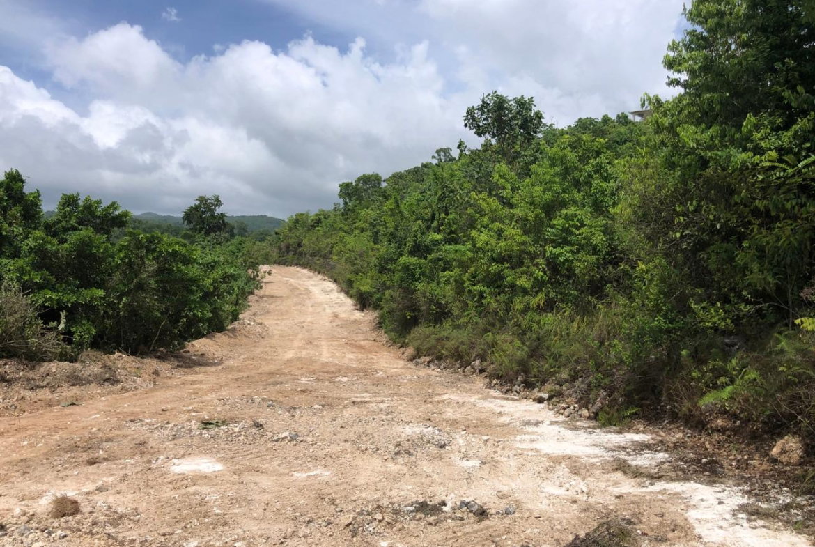 Fourth image of Lot 50 Part of Knapdale in Browns Town, St. Ann, Jamaica - property is For Sale
