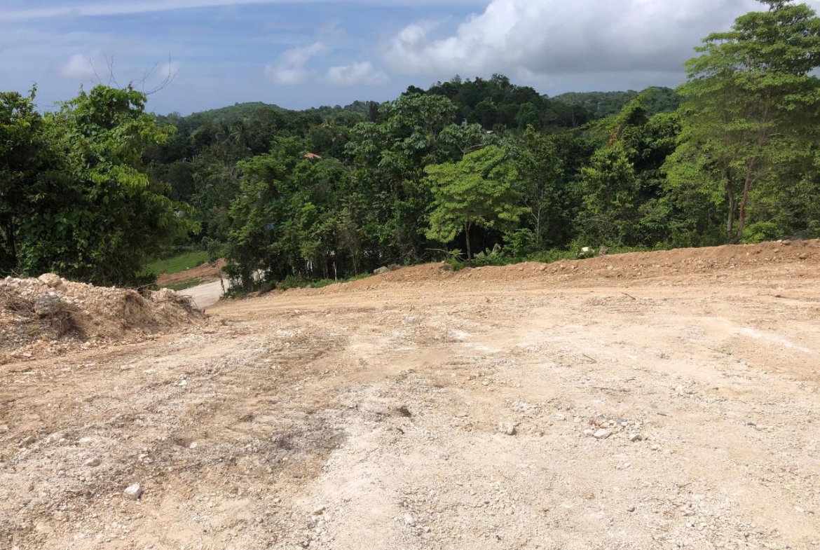 Fifth image of Lot 50 Part of Knapdale in Browns Town, St. Ann, Jamaica - property is For Sale