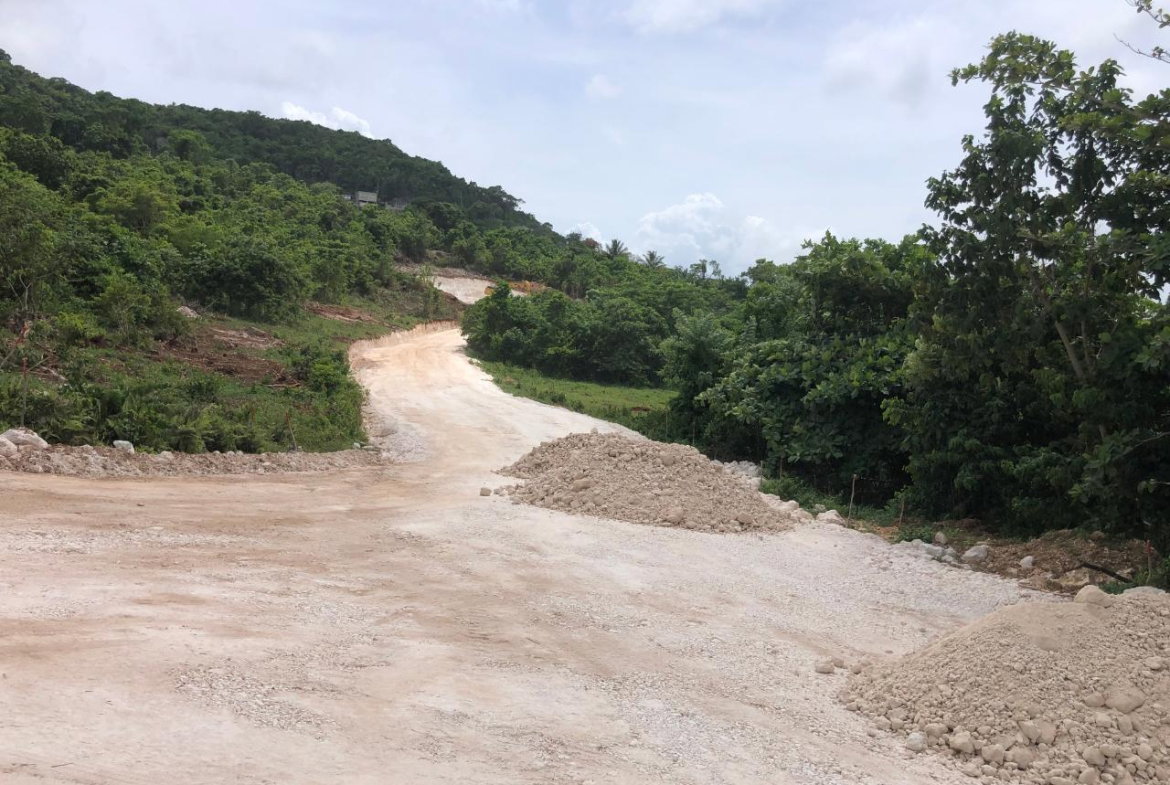 Eighth image of Lot 50 Part of Knapdale in Browns Town, St. Ann, Jamaica - property is For Sale