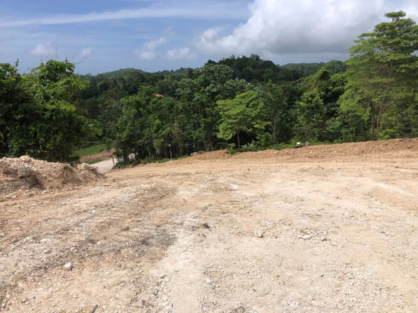 Fifth image of Lot 68 Part of Knapdale in Browns Town, St. Ann, Jamaica - property is For Sale