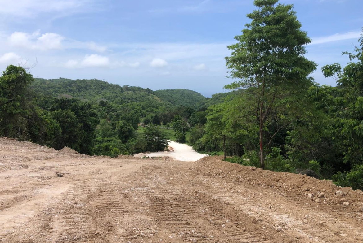 Seventh image of Lot 67 Part of Knapdale in Browns Town, St. Ann, Jamaica - property is For Sale