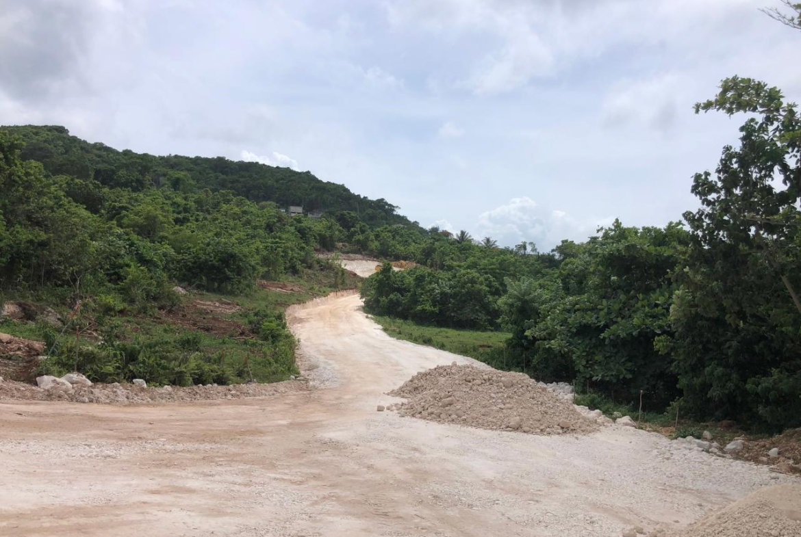 Ninth image of Lot 99 Part of Knapdale in Browns Town, St. Ann, Jamaica - property is For Sale