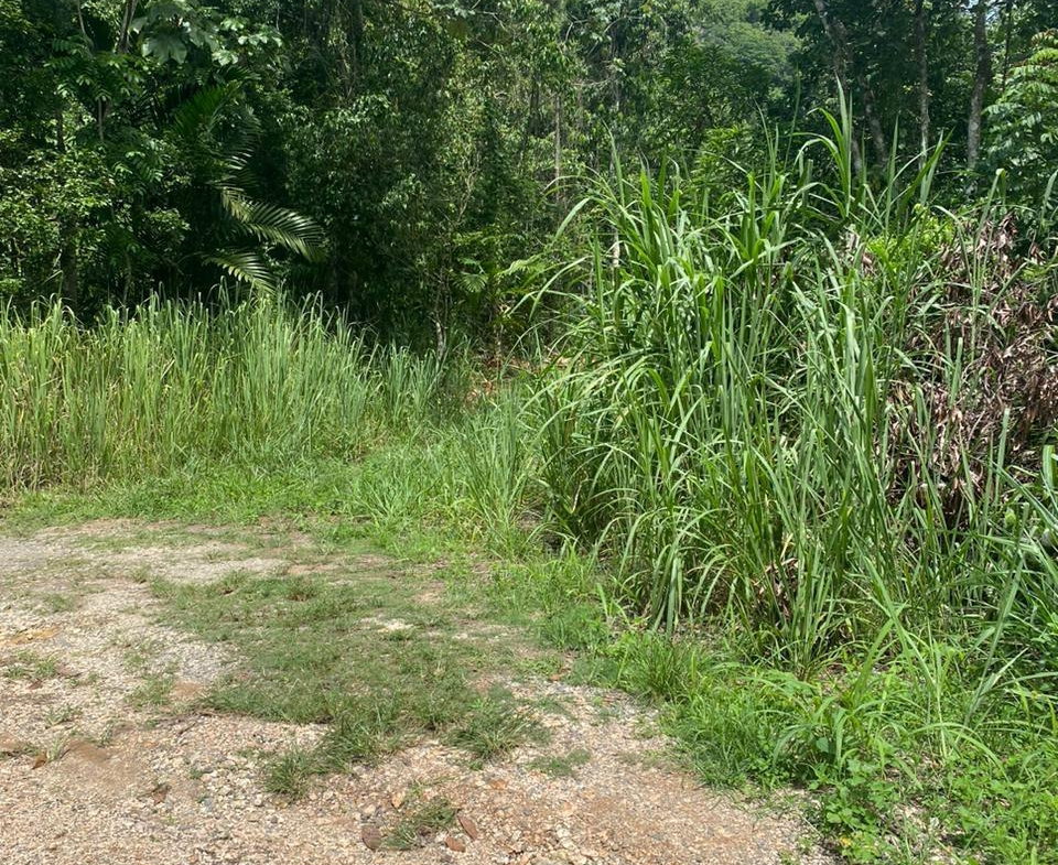 Second image of Lot 2-8 East Coopers Hill Heights in Coopers Hill, St. Andrew, Jamaica - property is For Sale