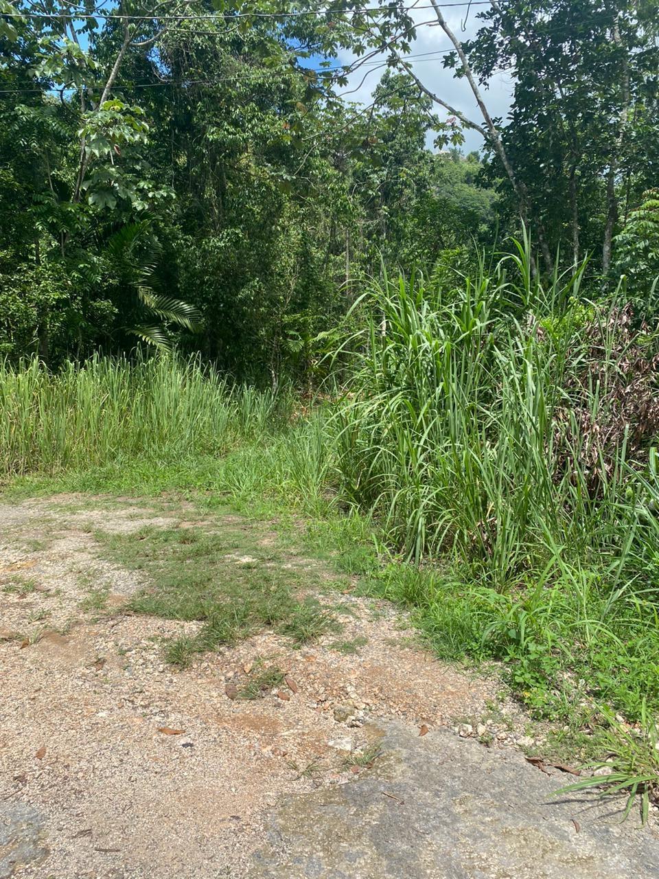 Second image of Lot 2-8 East Coopers Hill Heights in Coopers Hill, St. Andrew, Jamaica - property is For Sale