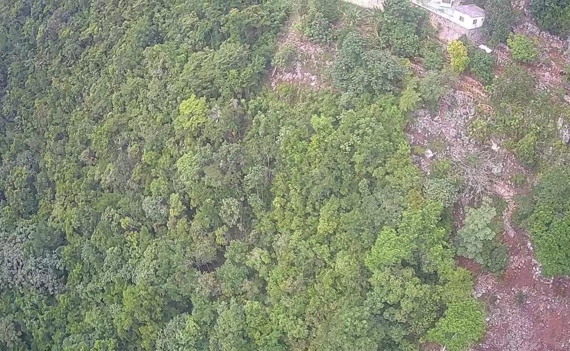 Thirteenth image of Lot 2-8 East Coopers Hill Heights in Coopers Hill, St. Andrew, Jamaica - property is For Sale