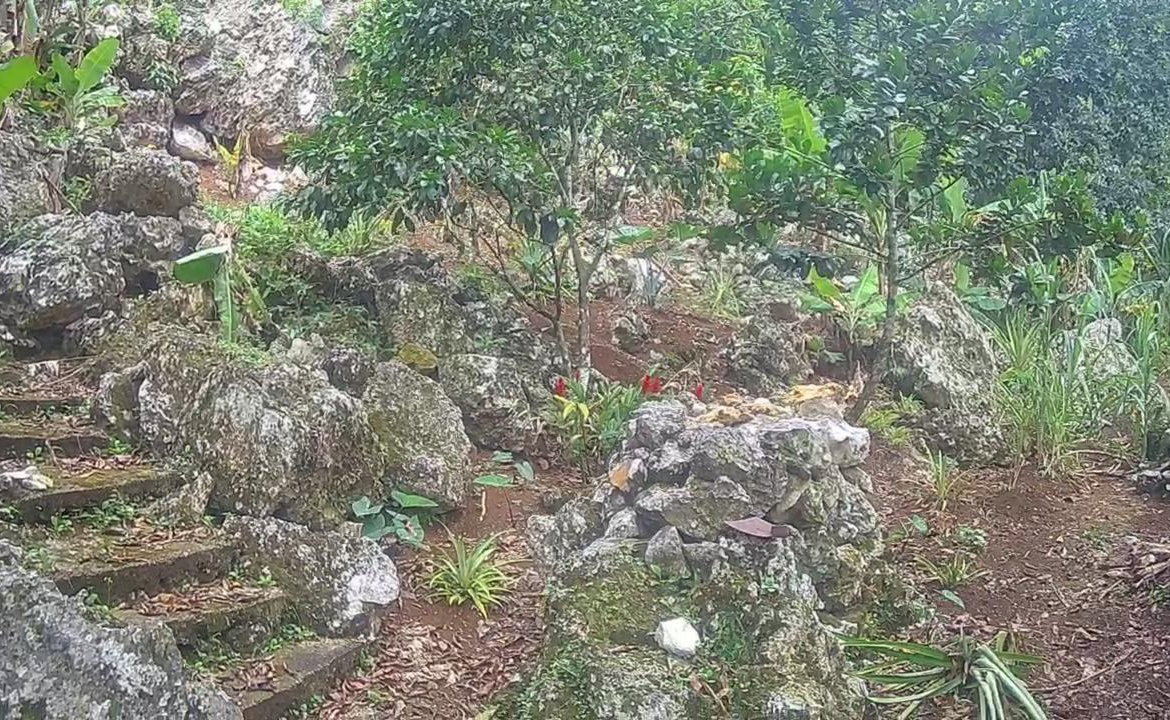 Fifteenth image of Lot 2-8 East Coopers Hill Heights in Coopers Hill, St. Andrew, Jamaica - property is For Sale