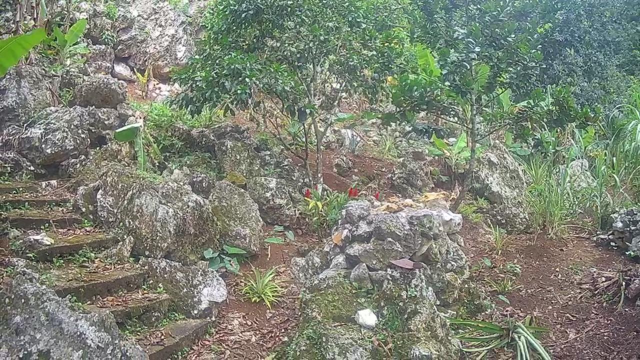 Fifteenth image of Lot 2-8 East Coopers Hill Heights in Coopers Hill, St. Andrew, Jamaica - property is For Sale