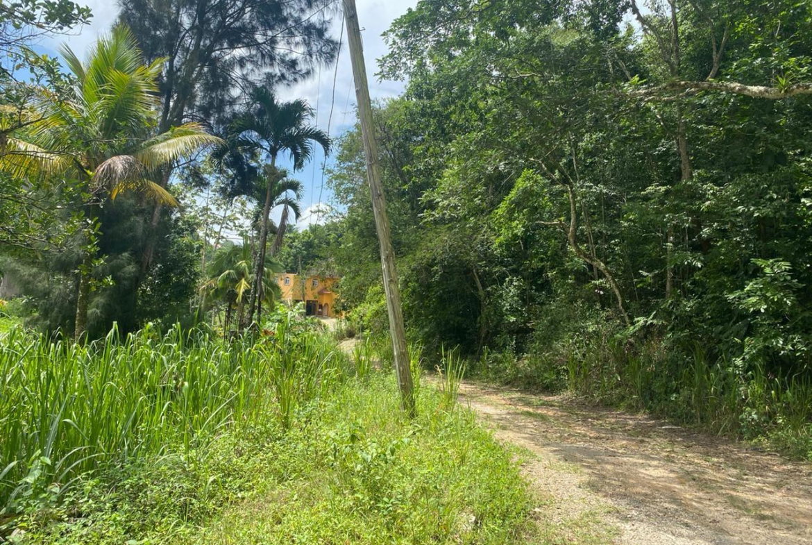Sixteenth image of Lot 2-8 East Coopers Hill Heights in Coopers Hill, St. Andrew, Jamaica - property is For Sale