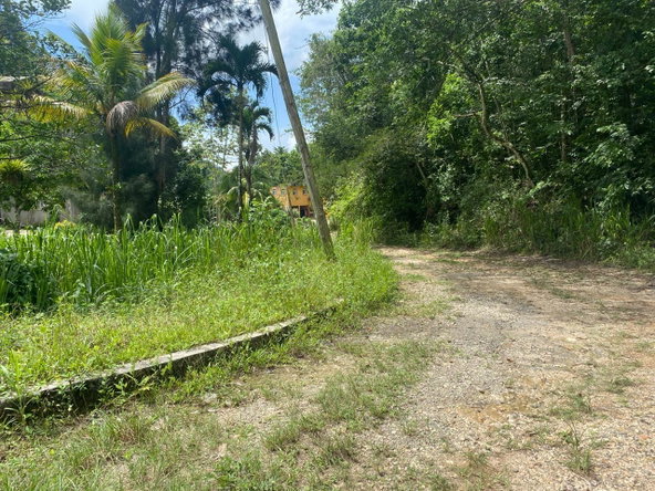 Twenty-Second image of Lot 2-8 East Coopers Hill Heights in Coopers Hill, St. Andrew, Jamaica - property is For Sale