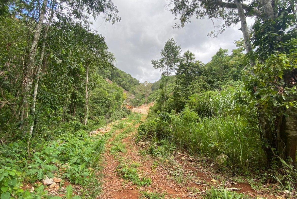 Twenty-Fourth image of Lot 2-8 East Coopers Hill Heights in Coopers Hill, St. Andrew, Jamaica - property is For Sale
