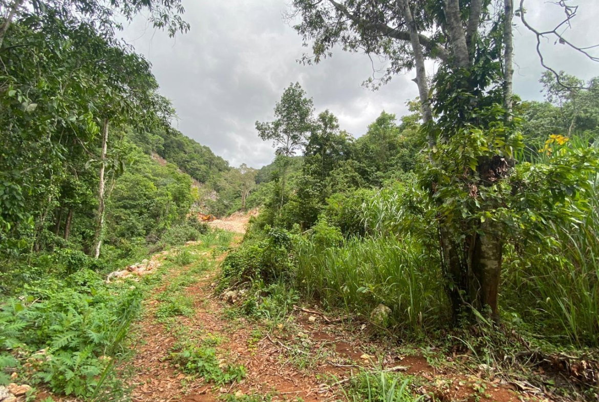 Twenty-Fifth image of Lot 2-8 East Coopers Hill Heights in Coopers Hill, St. Andrew, Jamaica - property is For Sale