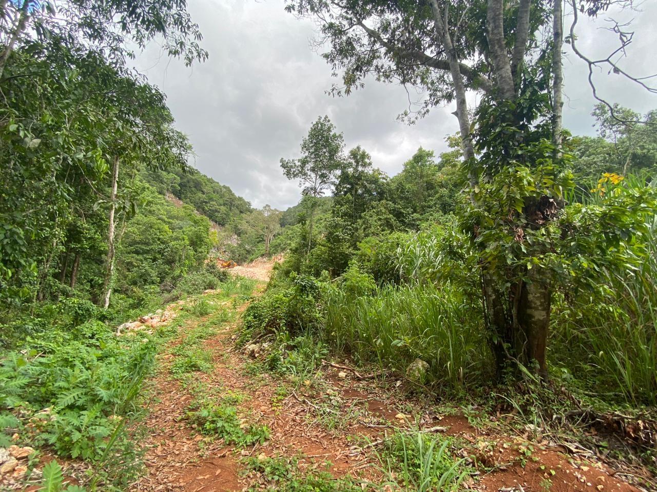 Twenty-Fifth image of Lot 2-8 East Coopers Hill Heights in Coopers Hill, St. Andrew, Jamaica - property is For Sale