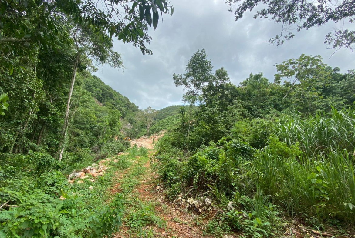 Twenty-Sixth image of Lot 2-8 East Coopers Hill Heights in Coopers Hill, St. Andrew, Jamaica - property is For Sale