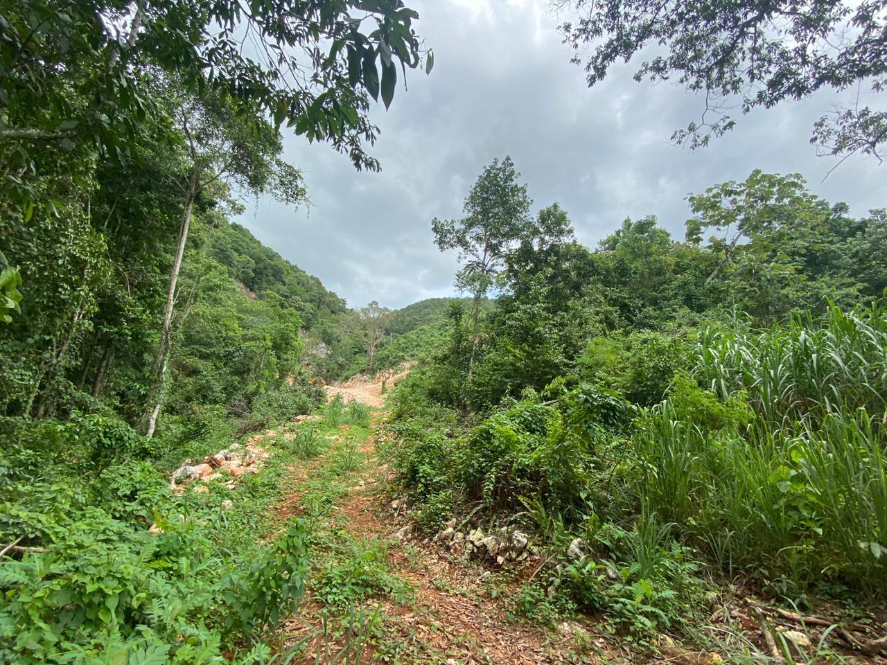 Twenty-Sixth image of Lot 2-8 East Coopers Hill Heights in Coopers Hill, St. Andrew, Jamaica - property is For Sale