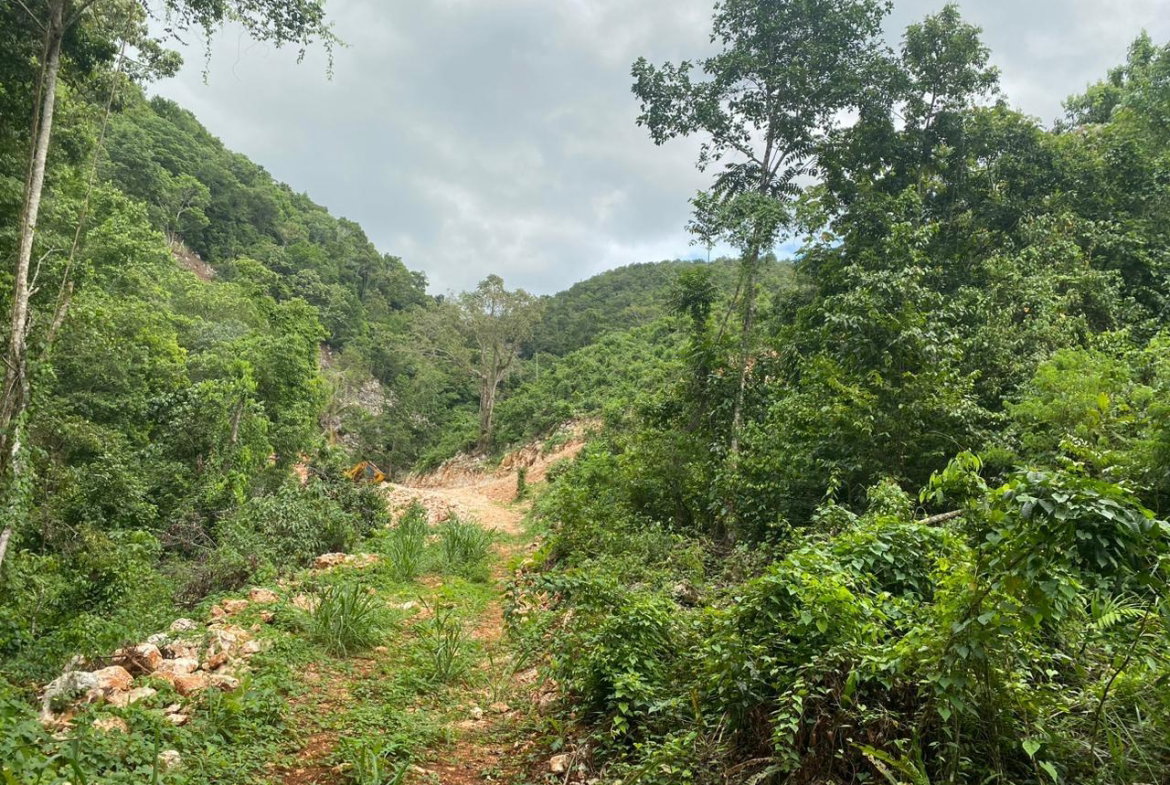 Twenty-Seventh image of Lot 2-8 East Coopers Hill Heights in Coopers Hill, St. Andrew, Jamaica - property is For Sale