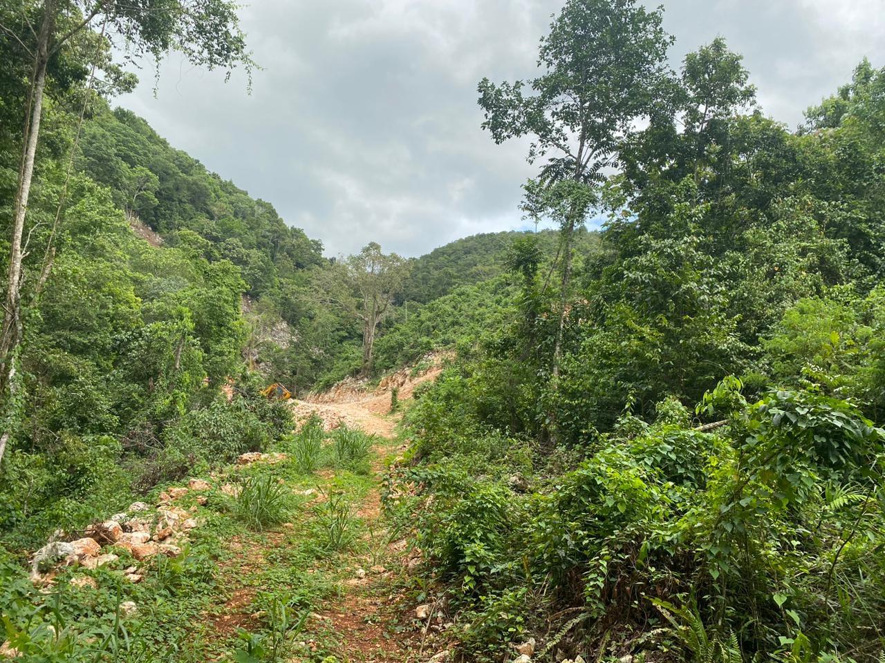 Twenty-Seventh image of Lot 2-8 East Coopers Hill Heights in Coopers Hill, St. Andrew, Jamaica - property is For Sale