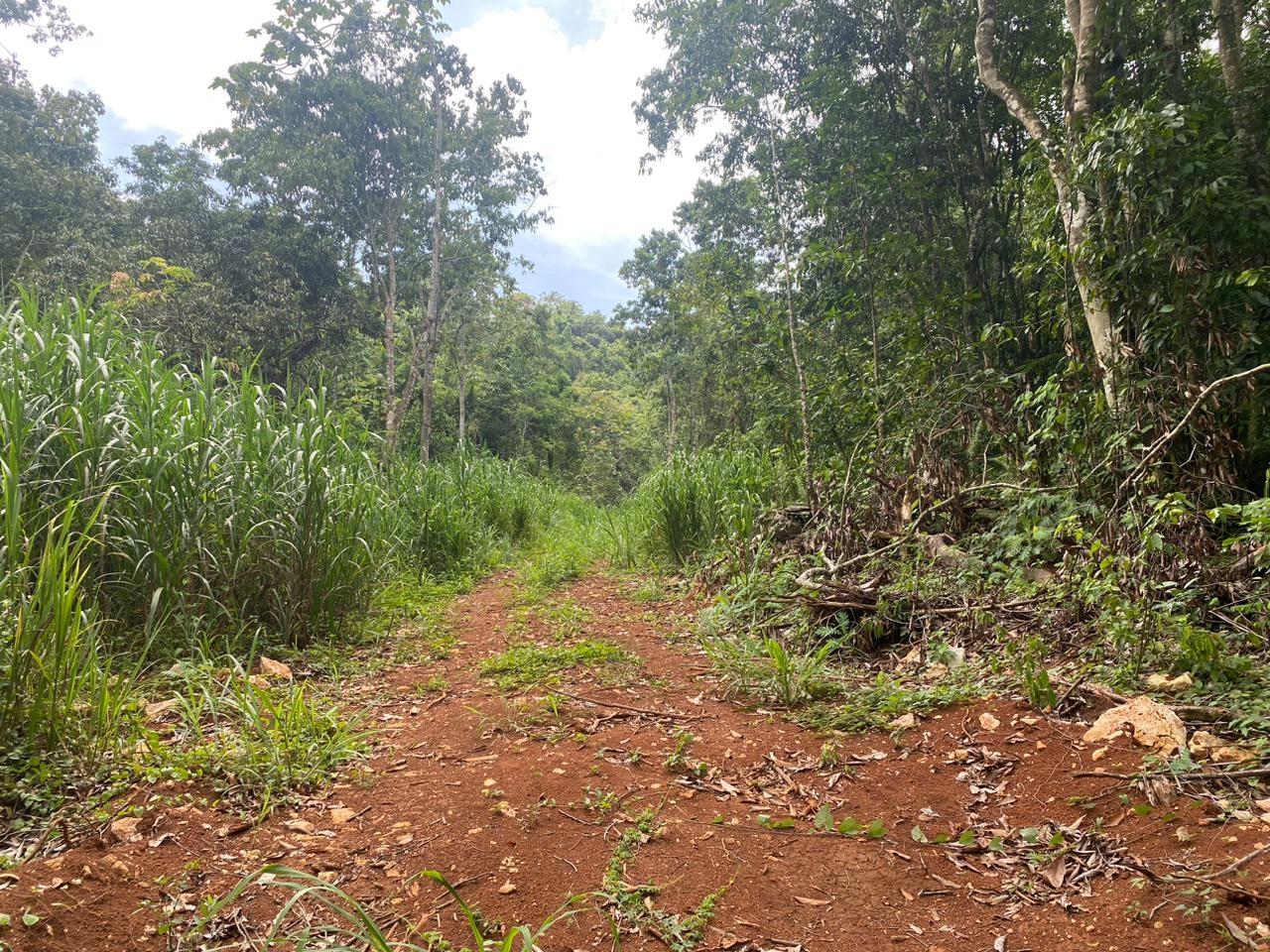 Twenty-Eighth image of Lot 2-8 East Coopers Hill Heights in Coopers Hill, St. Andrew, Jamaica - property is For Sale