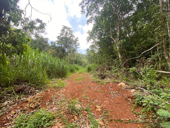 Twenty-Ninth image of Lot 2-8 East Coopers Hill Heights in Coopers Hill, St. Andrew, Jamaica - property is For Sale
