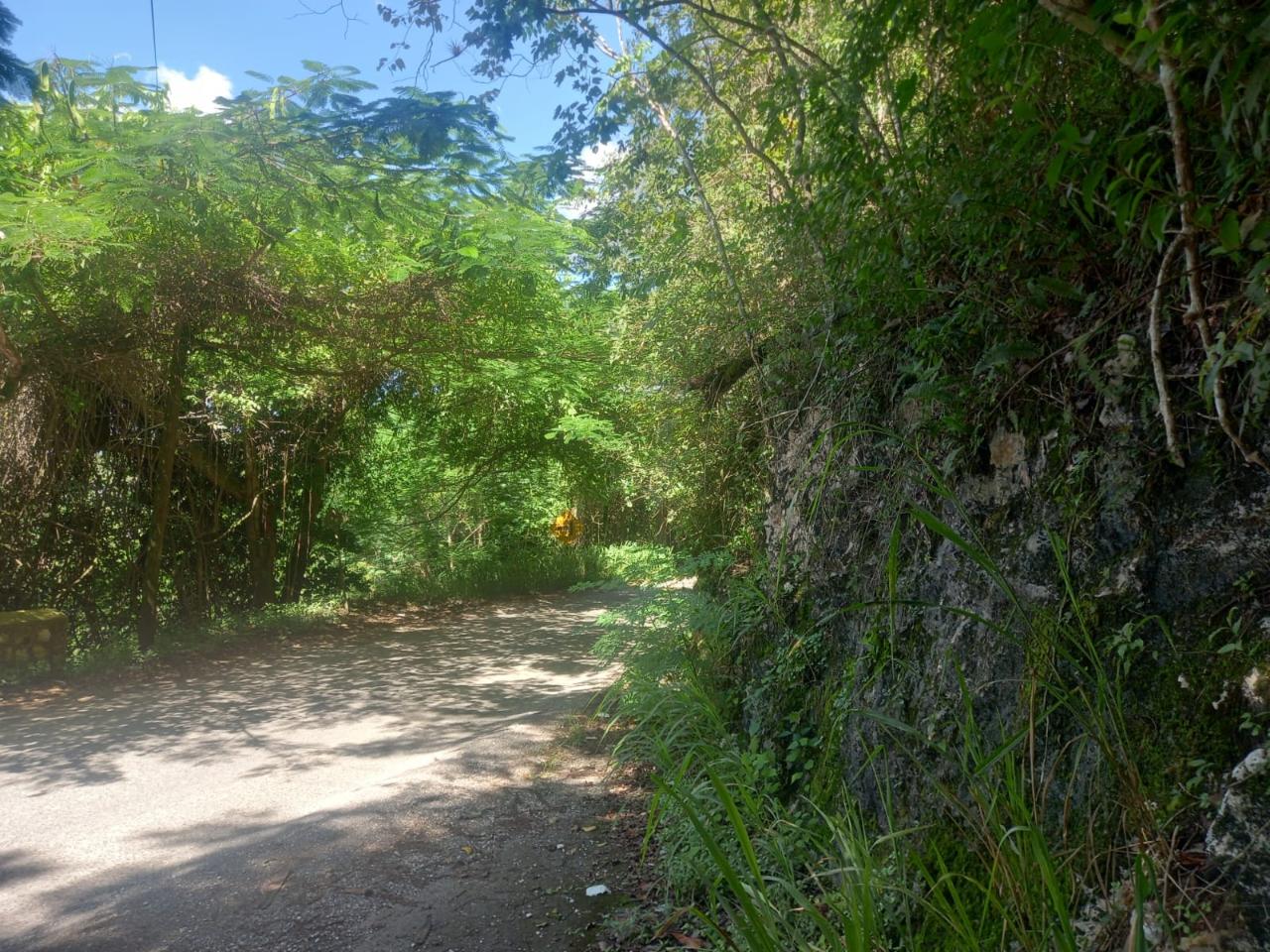 Thirtieth image of Lot 2-8 East Coopers Hill Heights in Coopers Hill, St. Andrew, Jamaica - property is For Sale