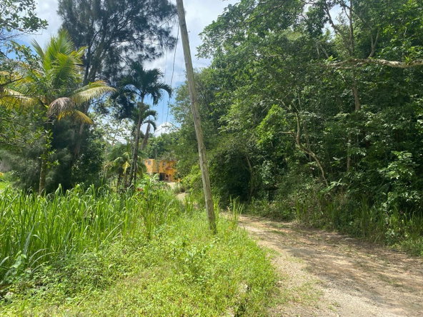 Sixteenth image of Lot 3-8 East Coopers Hill Heights in Coopers Hill, St. Andrew, Jamaica - property is For Sale
