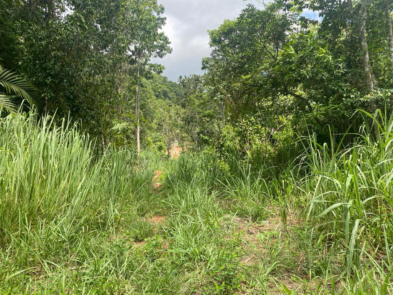 Eighteenth image of Lot 3-8 East Coopers Hill Heights in Coopers Hill, St. Andrew, Jamaica - property is For Sale
