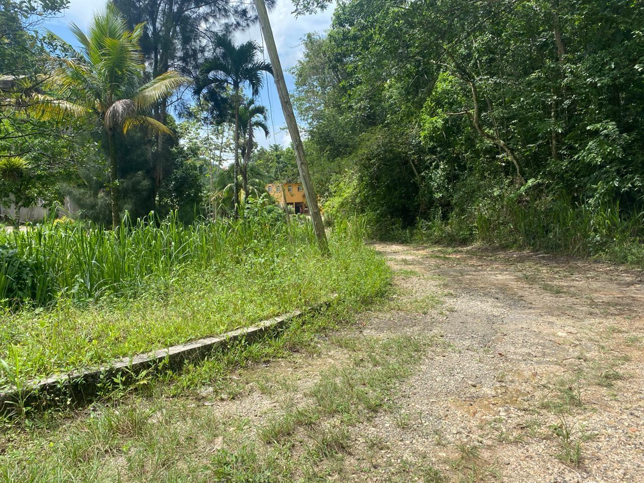 Twenty-Second image of Lot 3-8 East Coopers Hill Heights in Coopers Hill, St. Andrew, Jamaica - property is For Sale