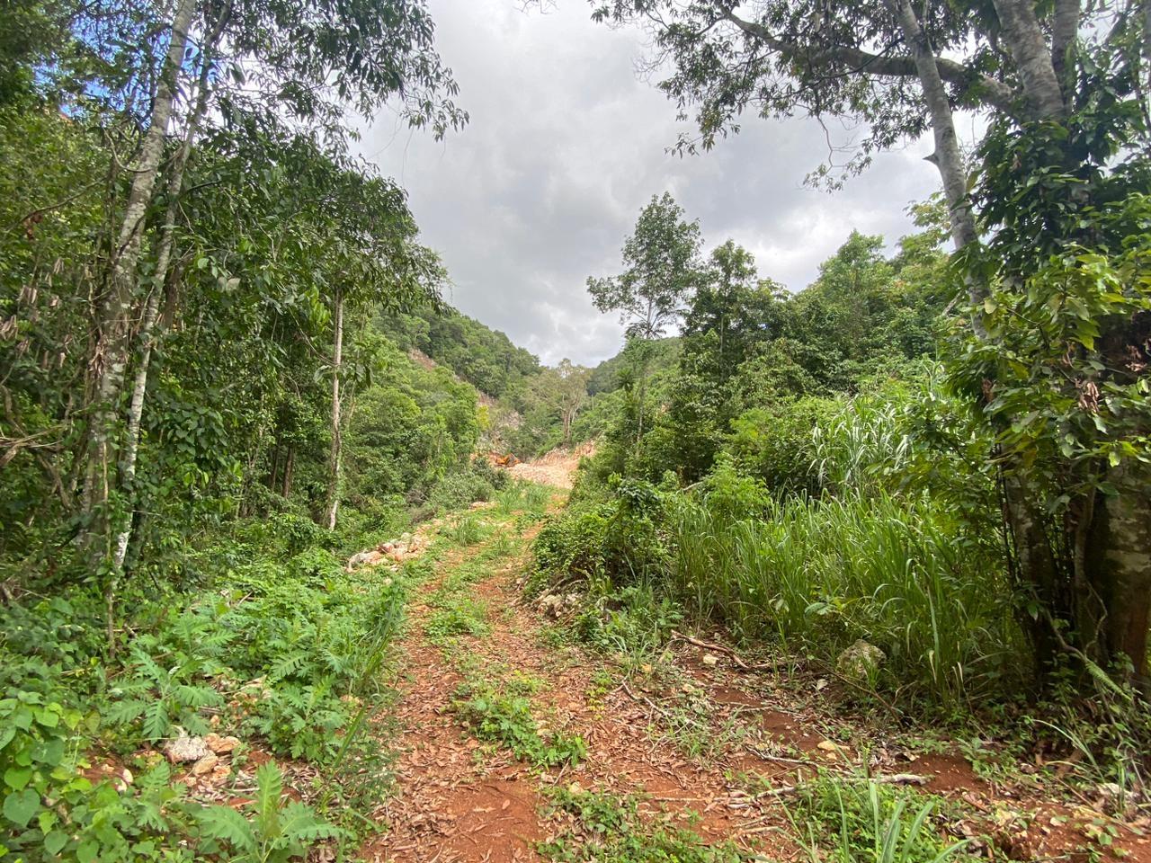 Twenty-Fourth image of Lot 3-8 East Coopers Hill Heights in Coopers Hill, St. Andrew, Jamaica - property is For Sale