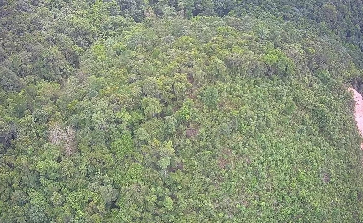 Ninth image of Lot 4-8 East Coopers Hill Heights in Coopers Hill, St. Andrew, Jamaica - property is For Sale